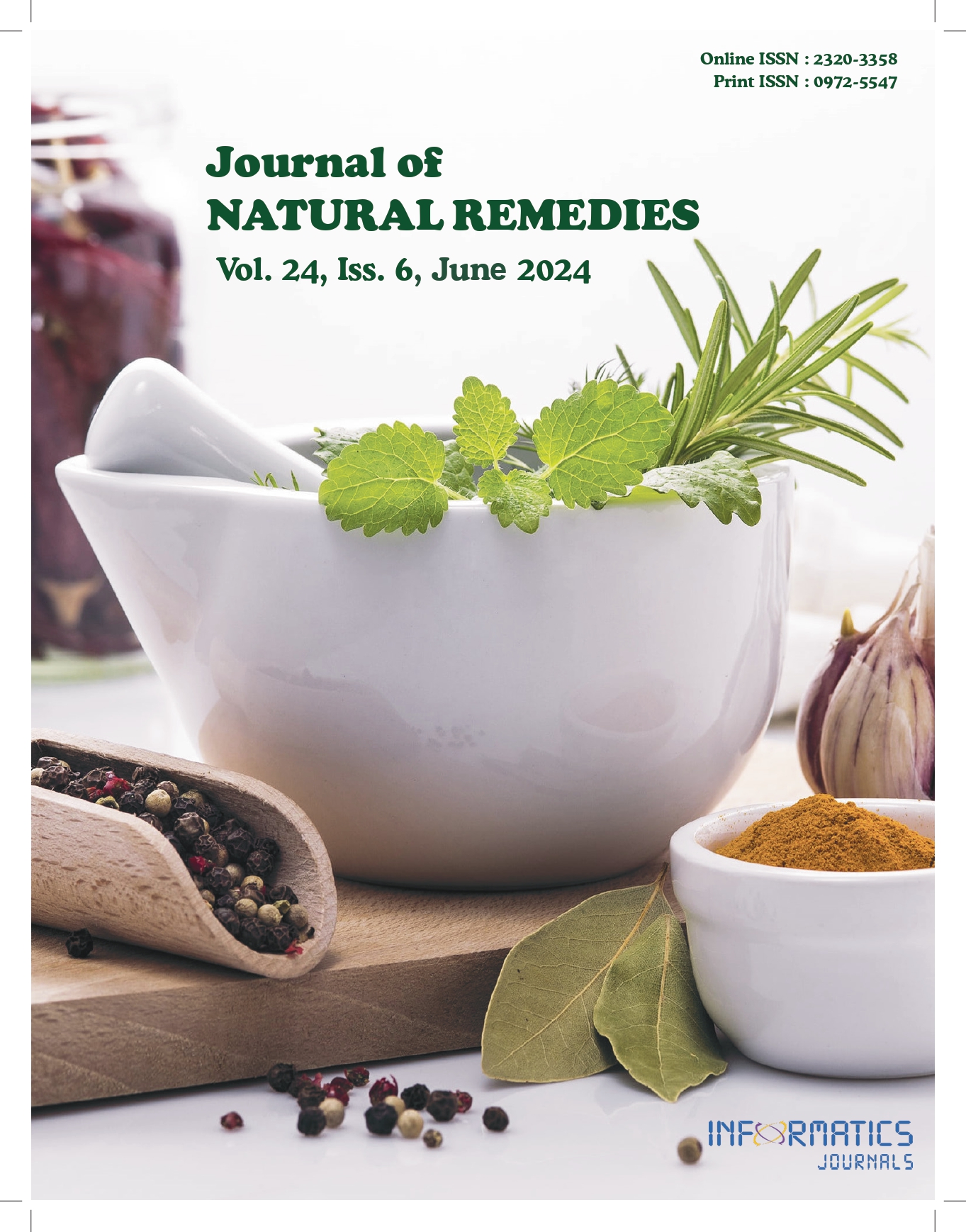 					View Volume 24, Issue 6, June 2024
				